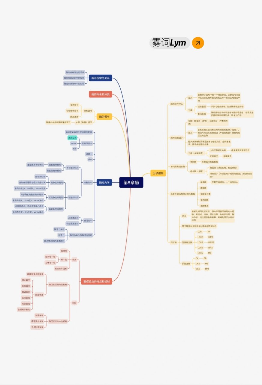 生物化学第5章酶 思维导图分享～ 酶这一章相比高中知识多了抑制剂