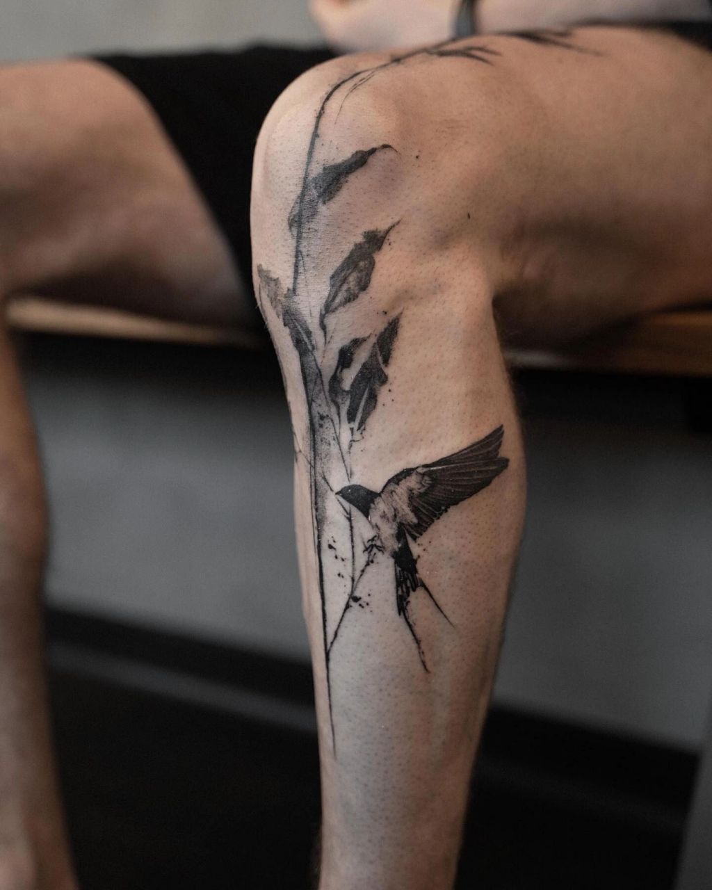 纹身素材:燕子     纹身素材:燕子.