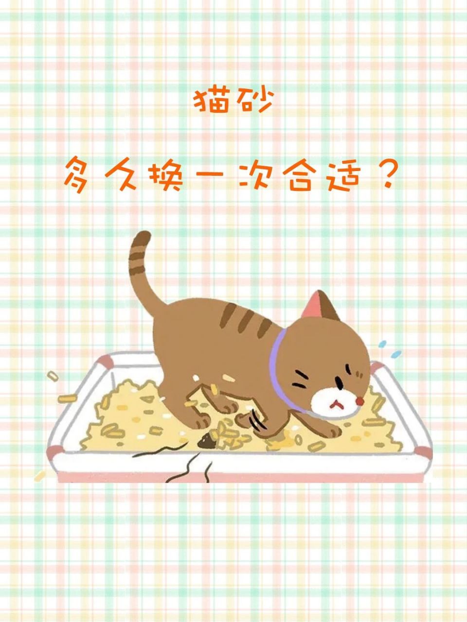 猫砂多久换一次合适 一般来说,1-2周左右更换一次猫砂,1-2个月左右