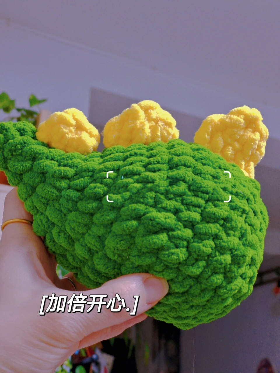 钩针仓鼠窝图解 实物太可爱了 用线:冰条线 钩针:6.