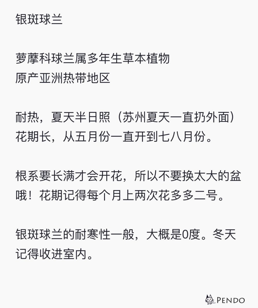 银斑球兰 养护指南 养护指南系列又开始啦