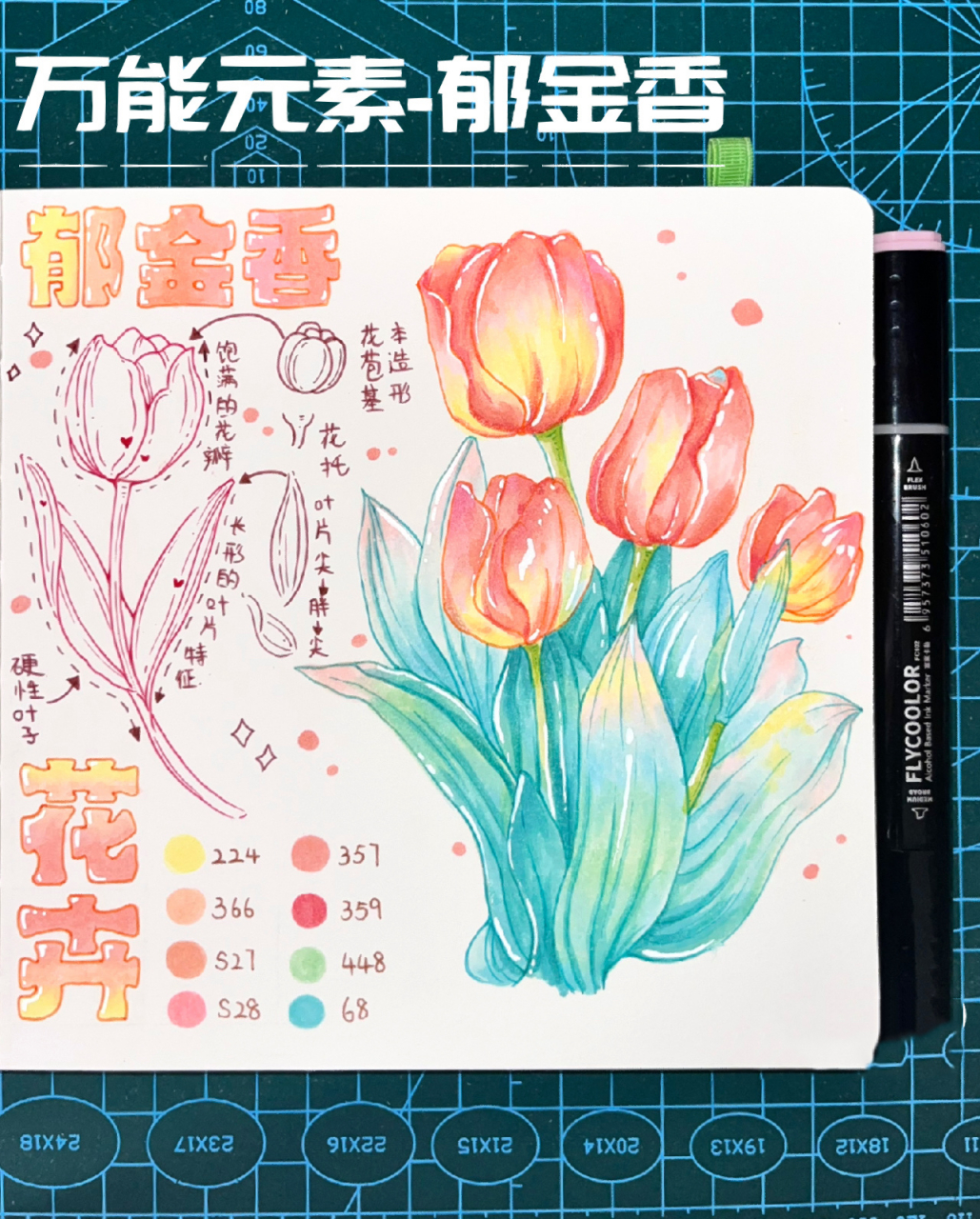 马克笔手绘|画面中常用的花卉元素-郁金香93 春天来了 公园里的