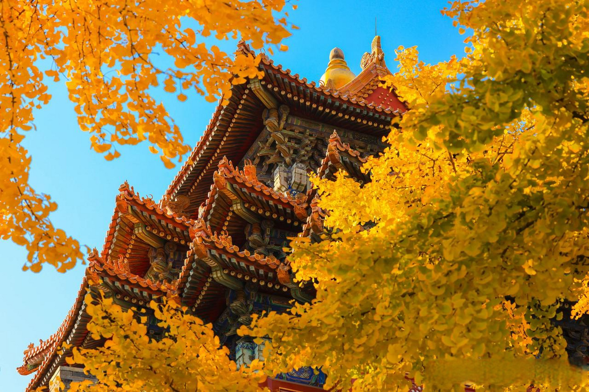 紫禁之巅助力北京中轴线申遗!