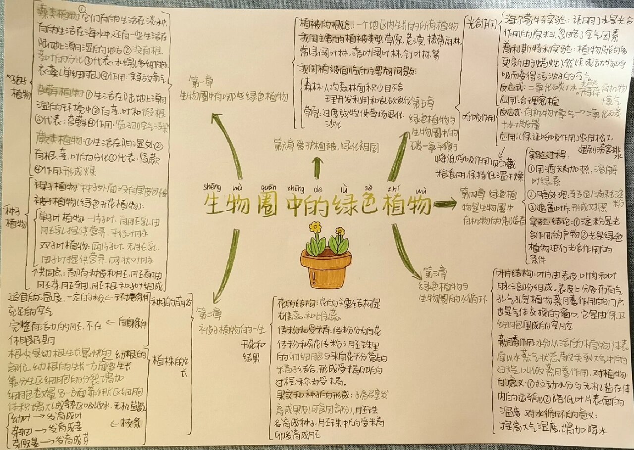 生物圈地理思维导图图片