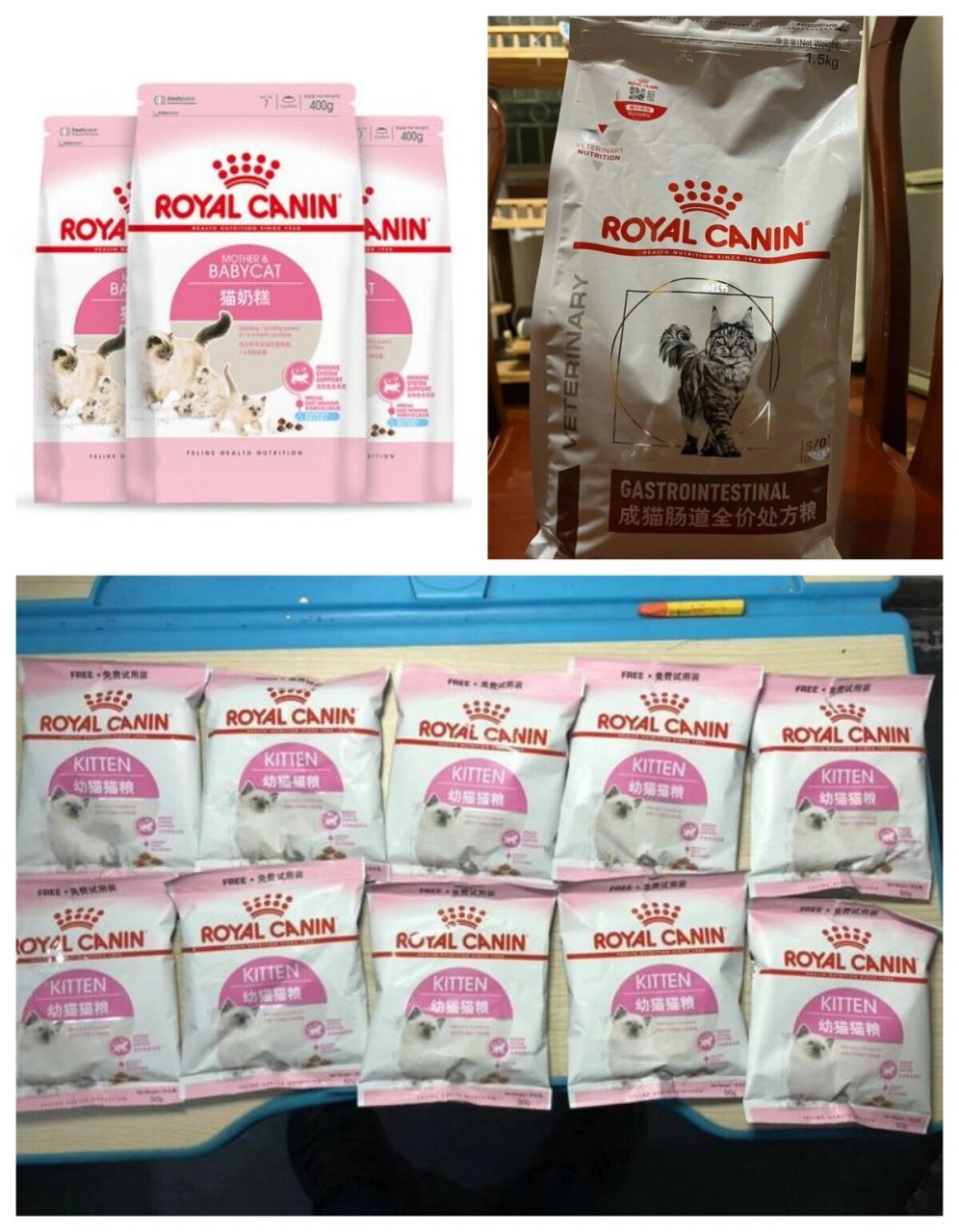 皇家royal canin丨一天一个猫舍必知品牌93 93皇家宠物食品,从