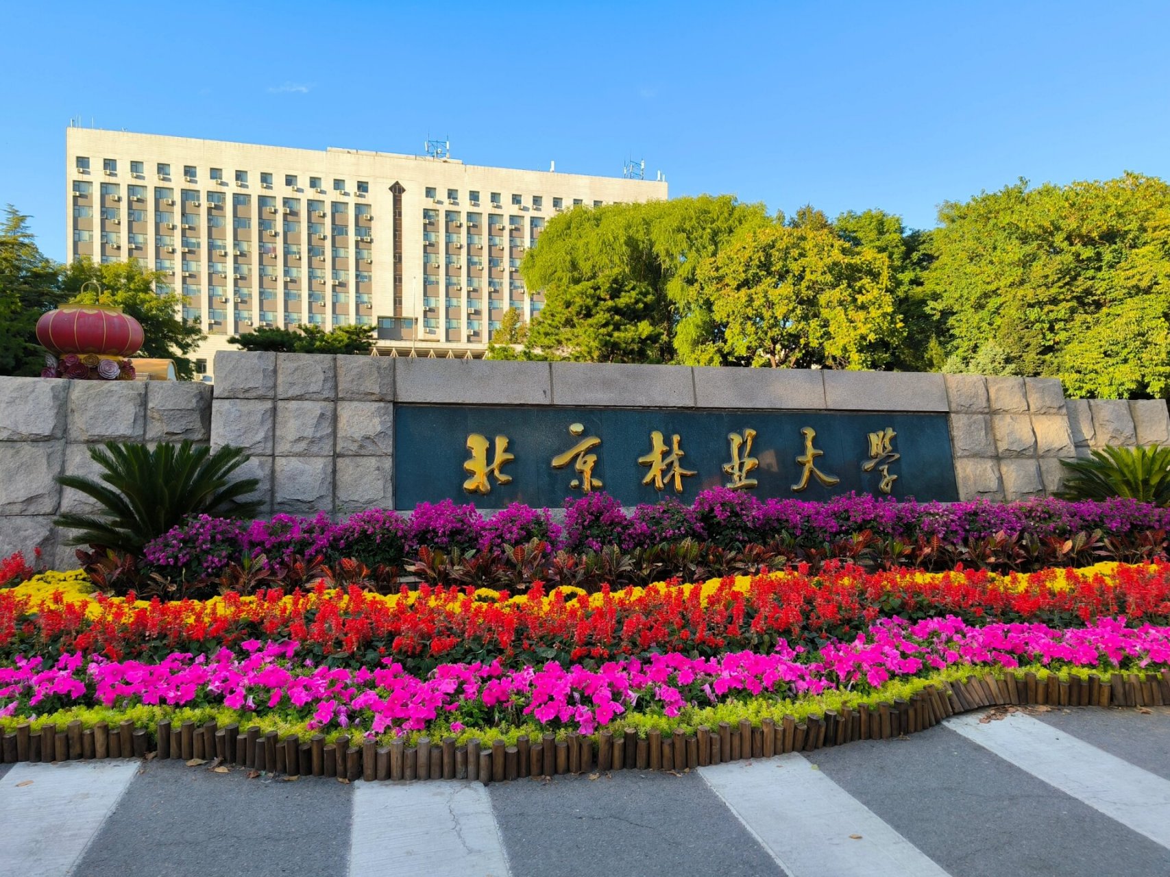 北京|逛北京林业大学 高校第三站!北林!