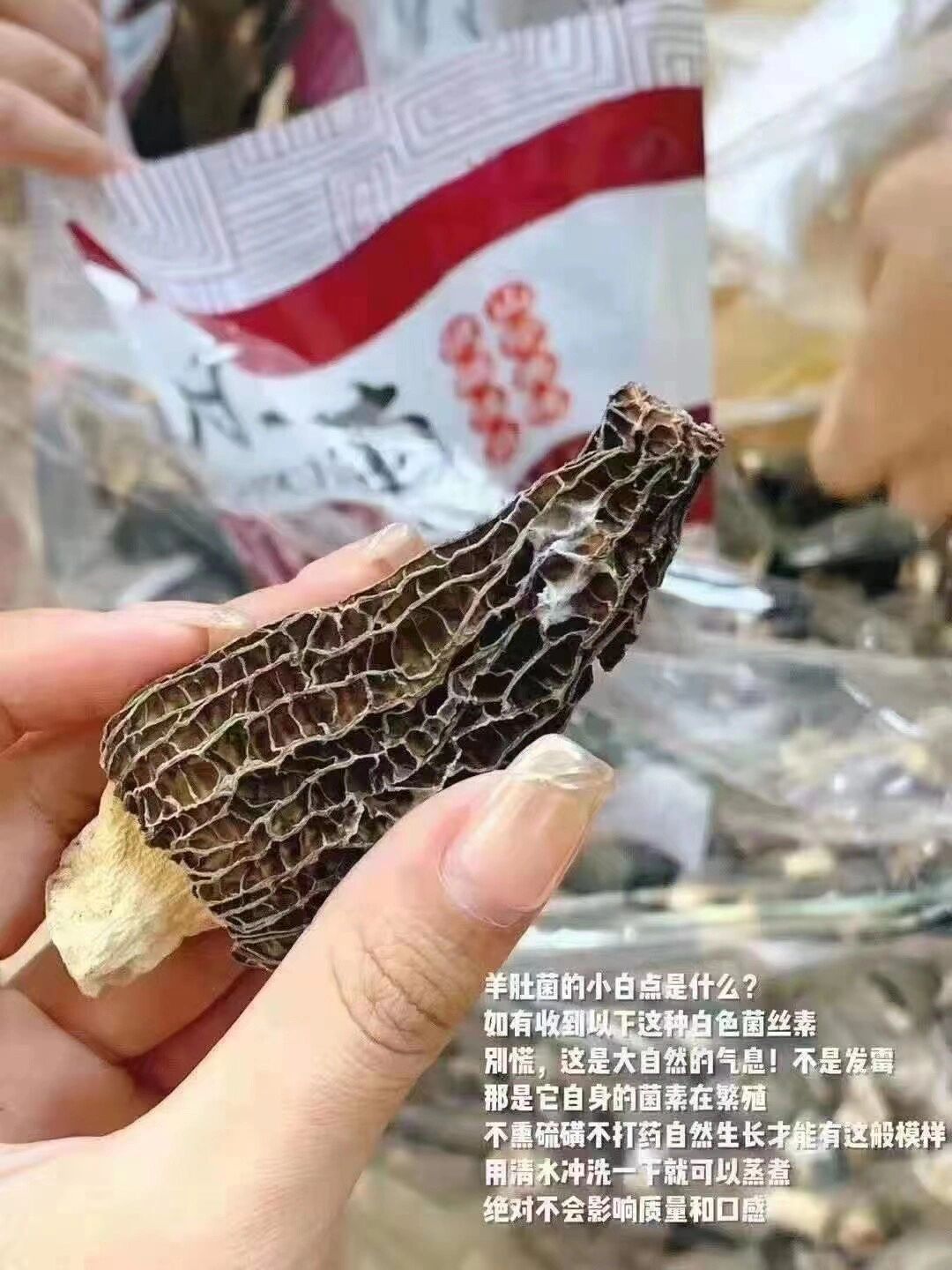 新鲜羊肚菌发霉图片图片