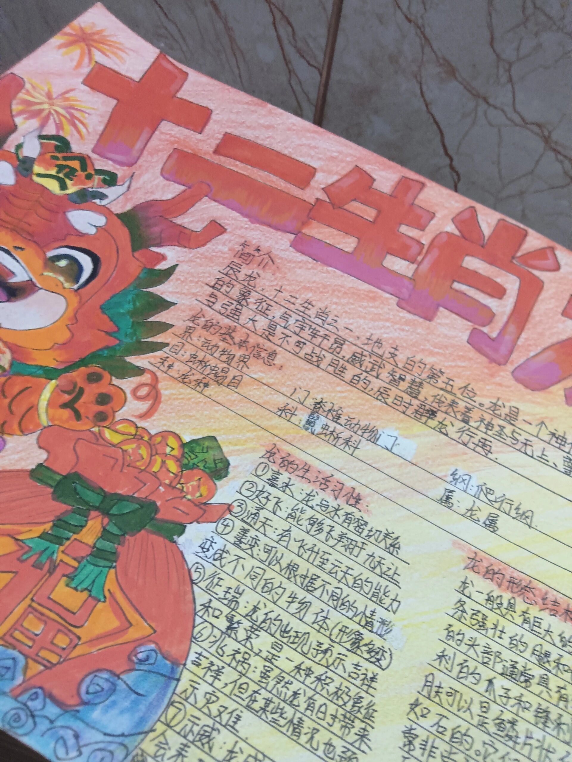 十二生肖——龙手抄报117011 用的工具是: 丙烯马克笔(震惊