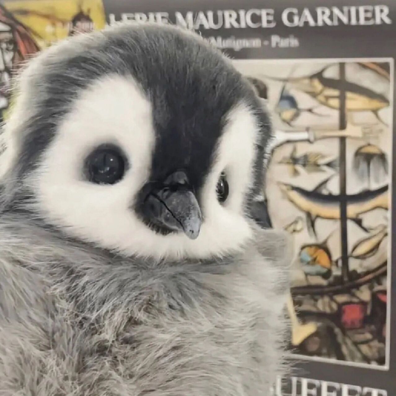 谁会拒绝可爱的小企鹅头像呐 最后一张可以做情头哦