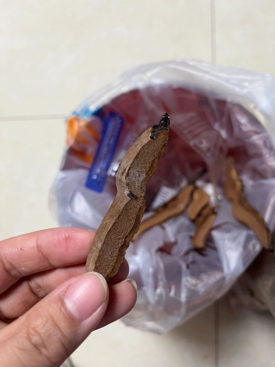 求问切片灵芝这个是发霉吗?