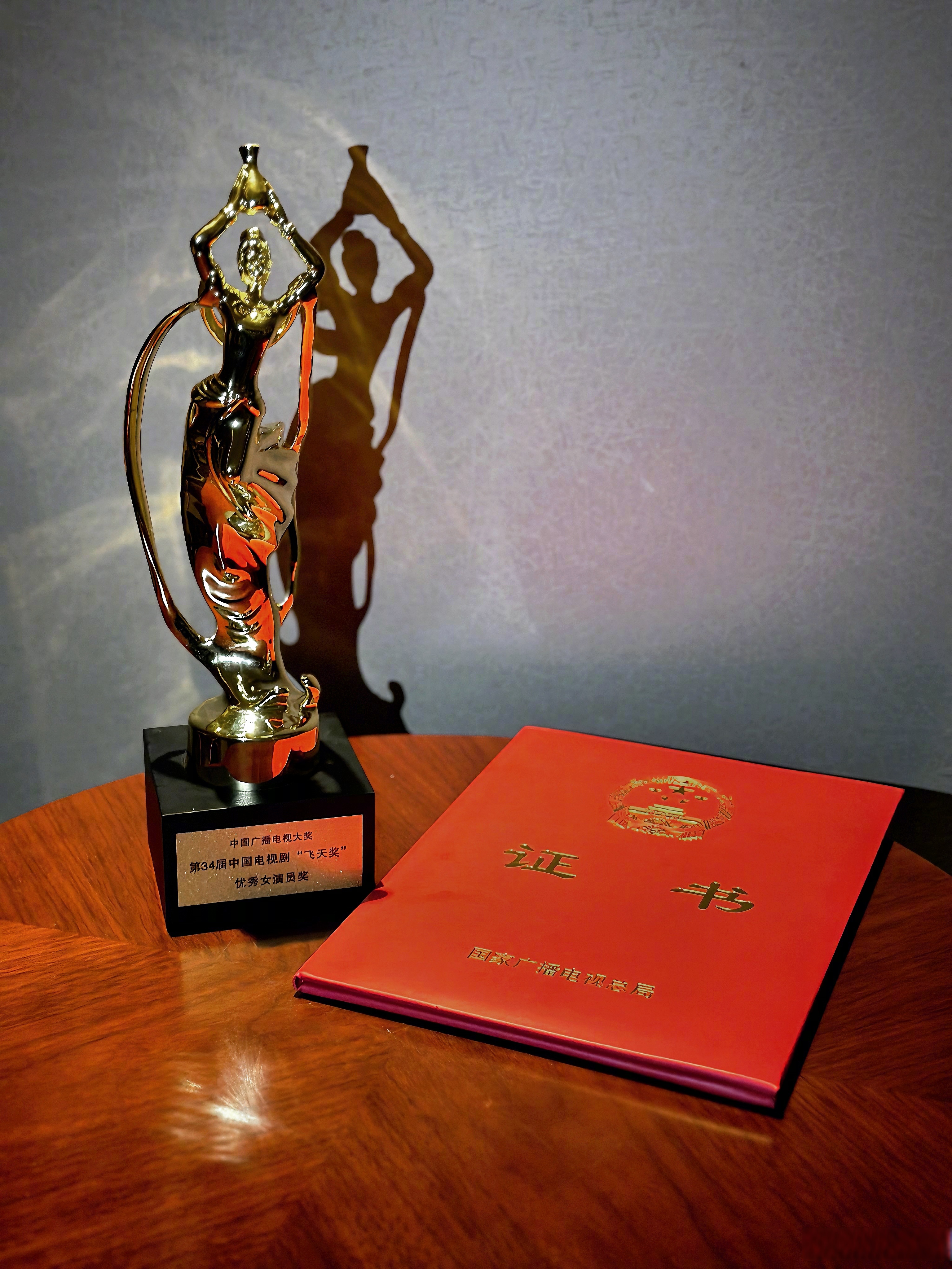 《风吹半夏》有了它最好的归宿. 登上领奖台的每一步都恍惚了. 许