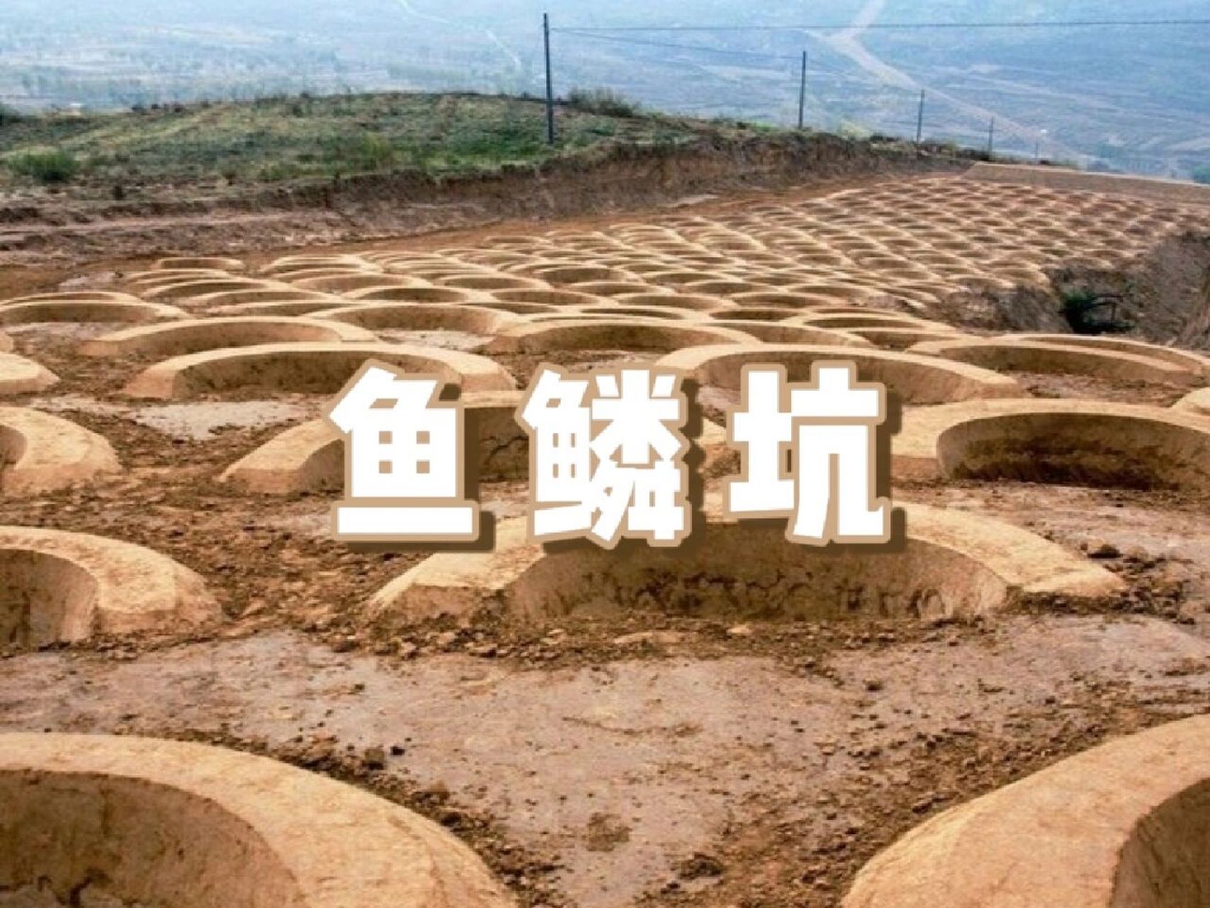 「地理一则」95 鱼鳞坑 93 定义 7315 鱼鳞坑是一种水土保持