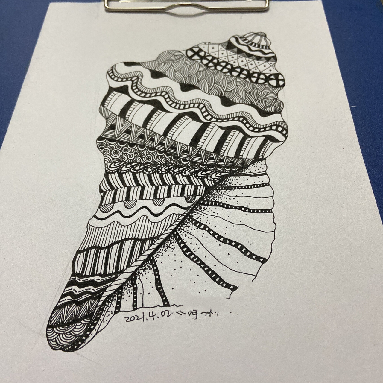 黑白线描装饰画 《海螺》 绘图工具:素描纸,铅笔,签字笔 临摹