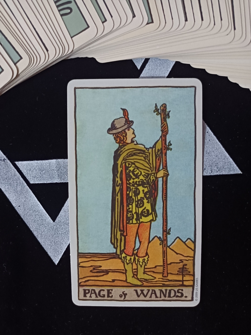 每日一牌|权杖侍从 关键字:认真,着手去做.