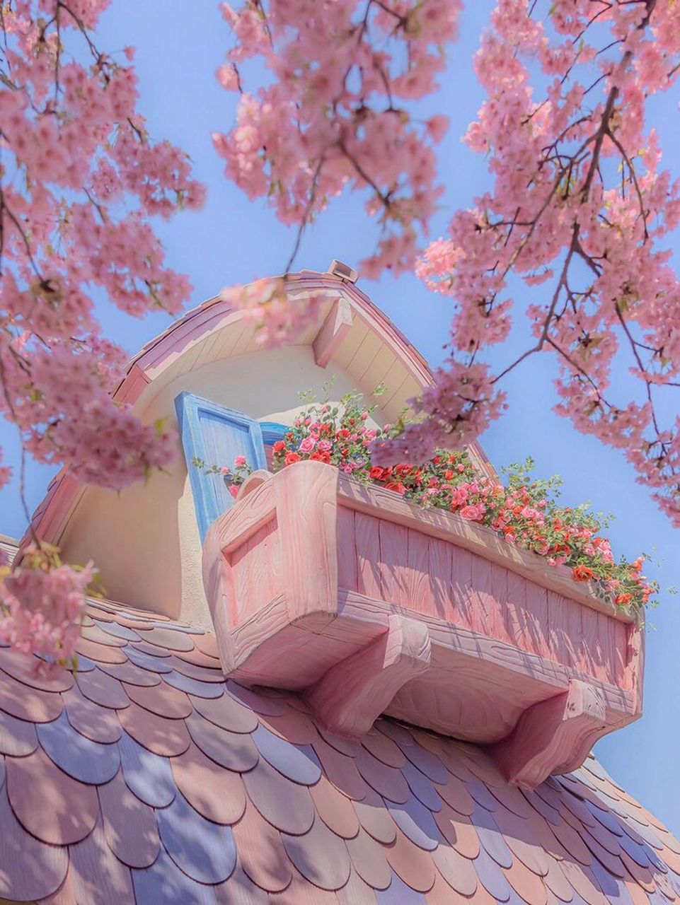 花花还有各种浪漫有意境天空的图片,我真想每天都换不同聊天背景图