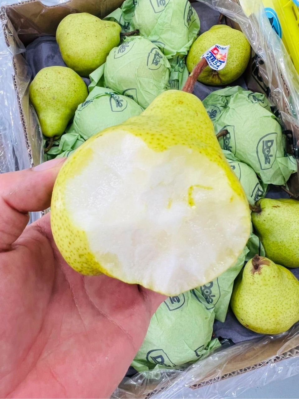 都乐"大头梨" 巨巨巨巨,句好吃的梨!