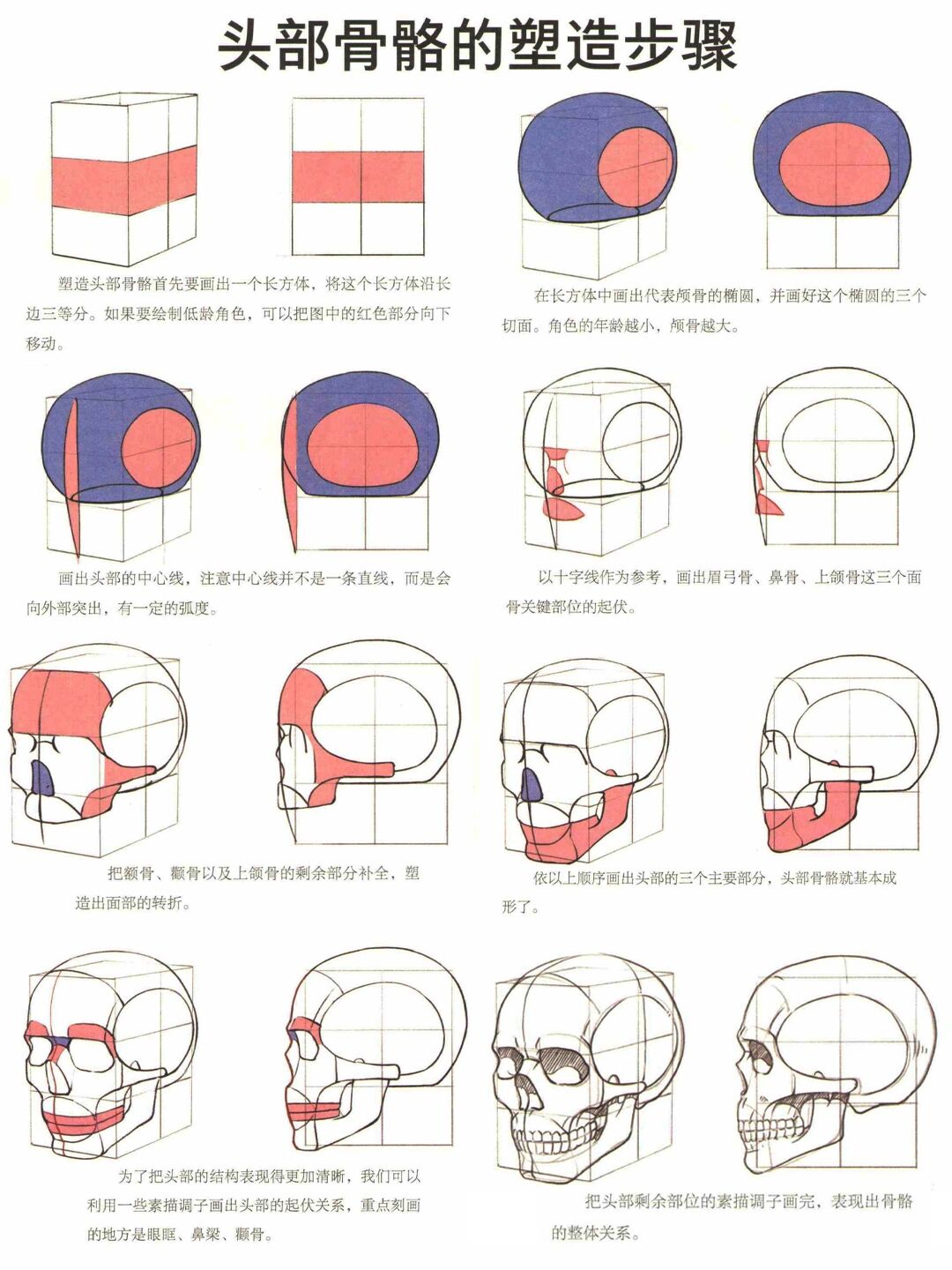 300 保姆级头部结构画法教程,新手别错过!