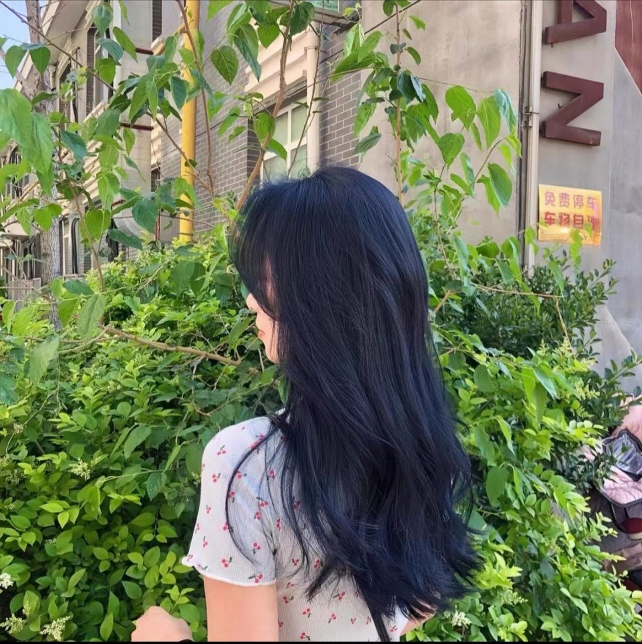 关于我染了鸢尾蓝黑显白这件事 黑色中带点蓝色调的染发颜色鸢尾