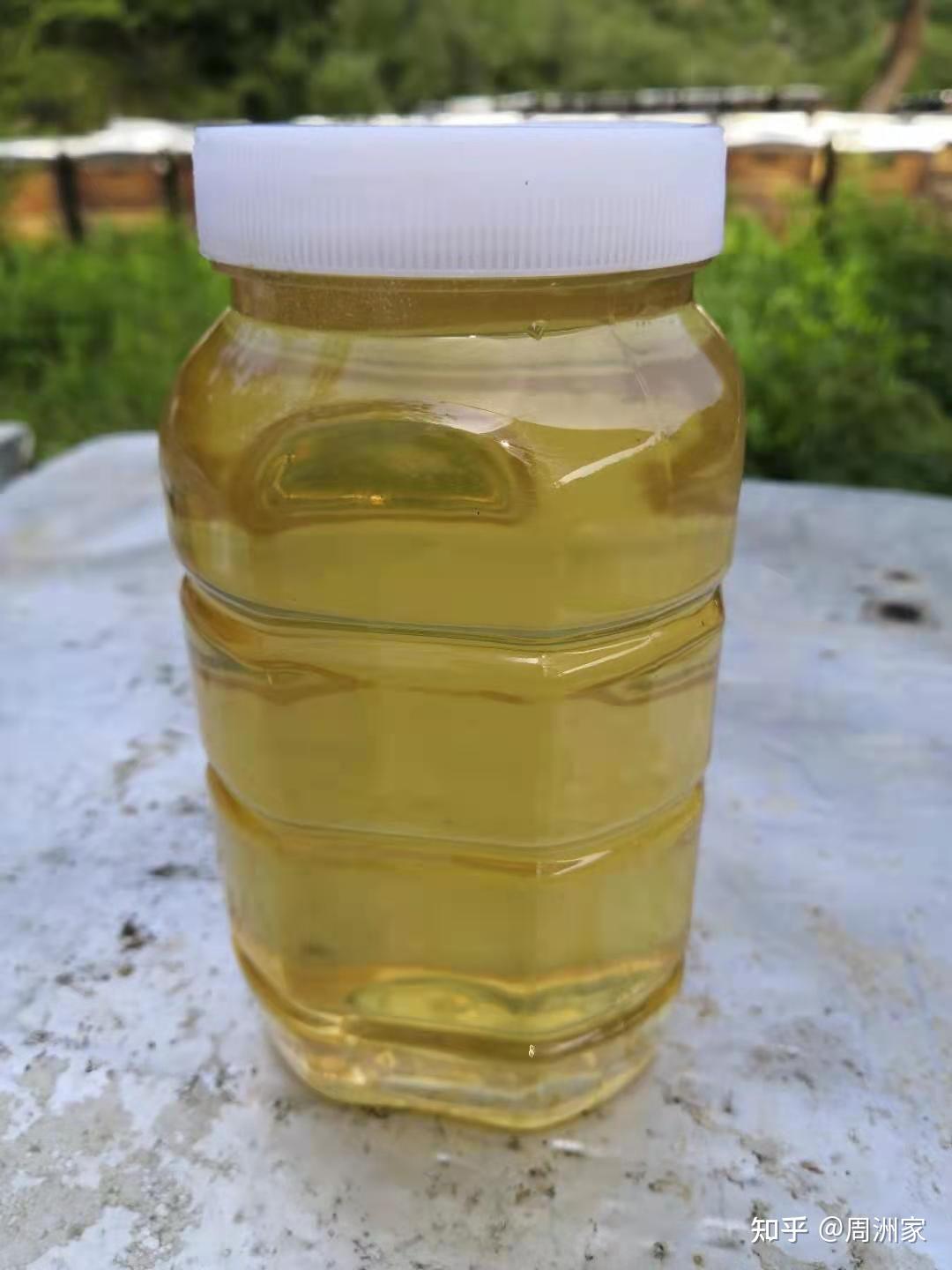 用葱验蜂蜜真假(用葱验蜂蜜真假可以吗) 用葱验蜂蜜真假(用葱验蜂蜜真假可以吗)