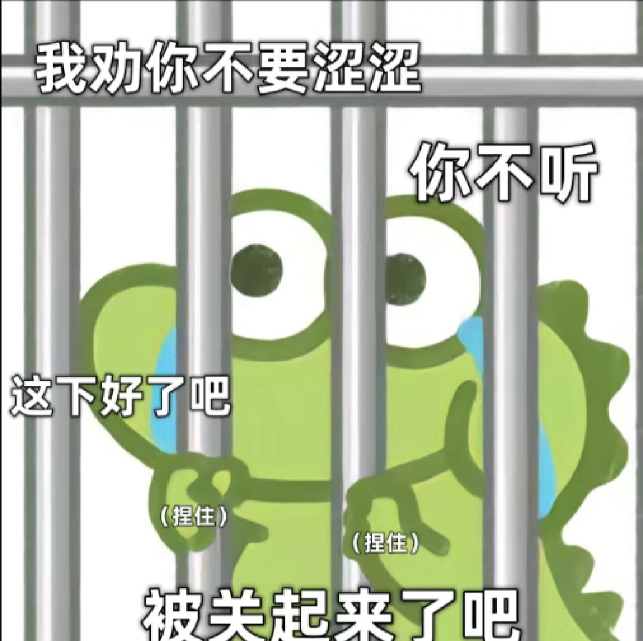 抓起来! 抹茶旦旦与暖暖熊系列表情包