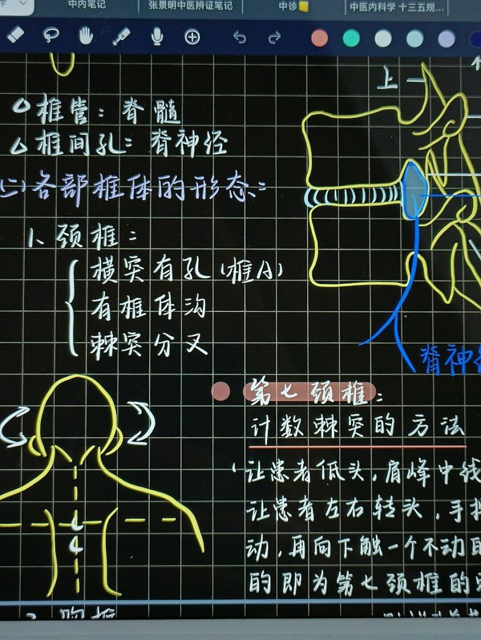 年前不擺爛97醫學生筆記→霍琨解剖學73 霍琨老師的繪畫功底也太