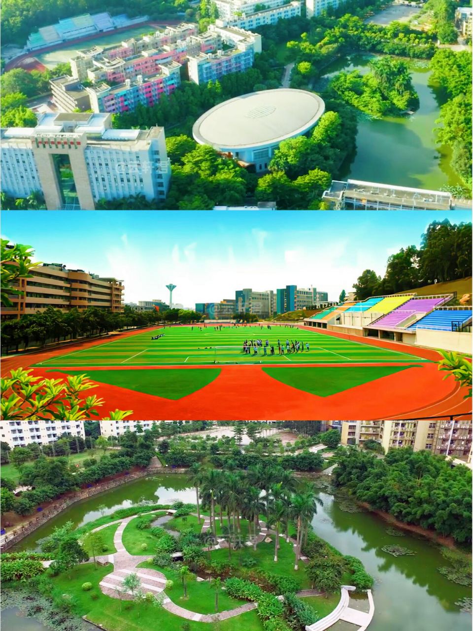 04 广东岭南现代技师学院不是公办学校,但是环境超美,物9090