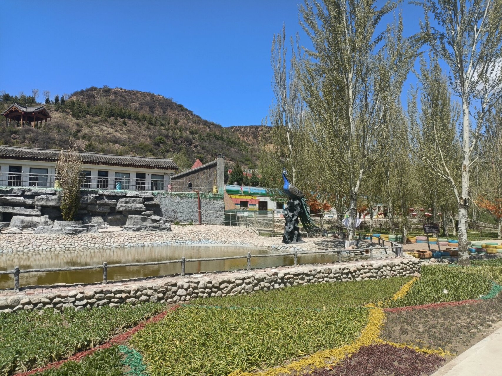 孔雀小镇|凤岛孔雀小镇 孔雀小镇位于太原市娄烦县天池店乡顺道村.