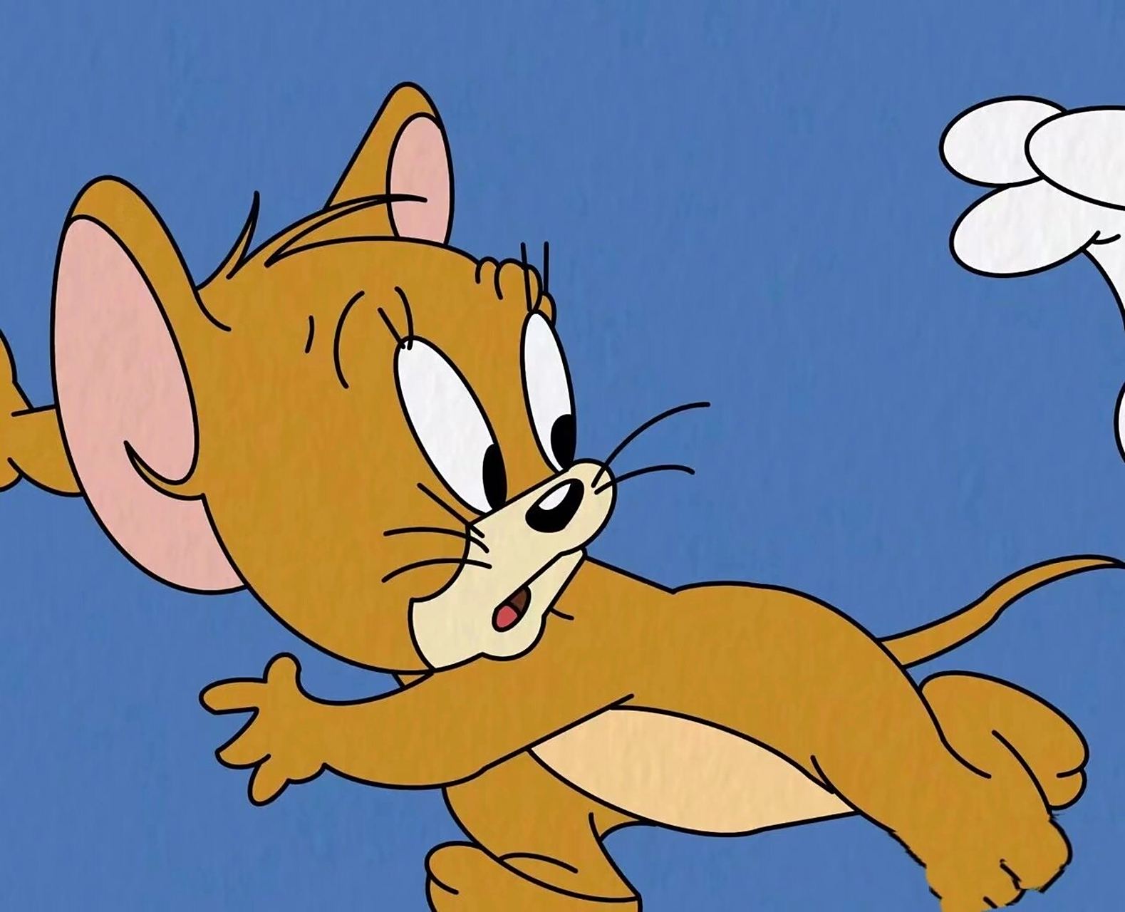 猫和老鼠捉迷藏 (玩法介绍) 抽签决定猫和老鼠 活动描述:共享位置猫和