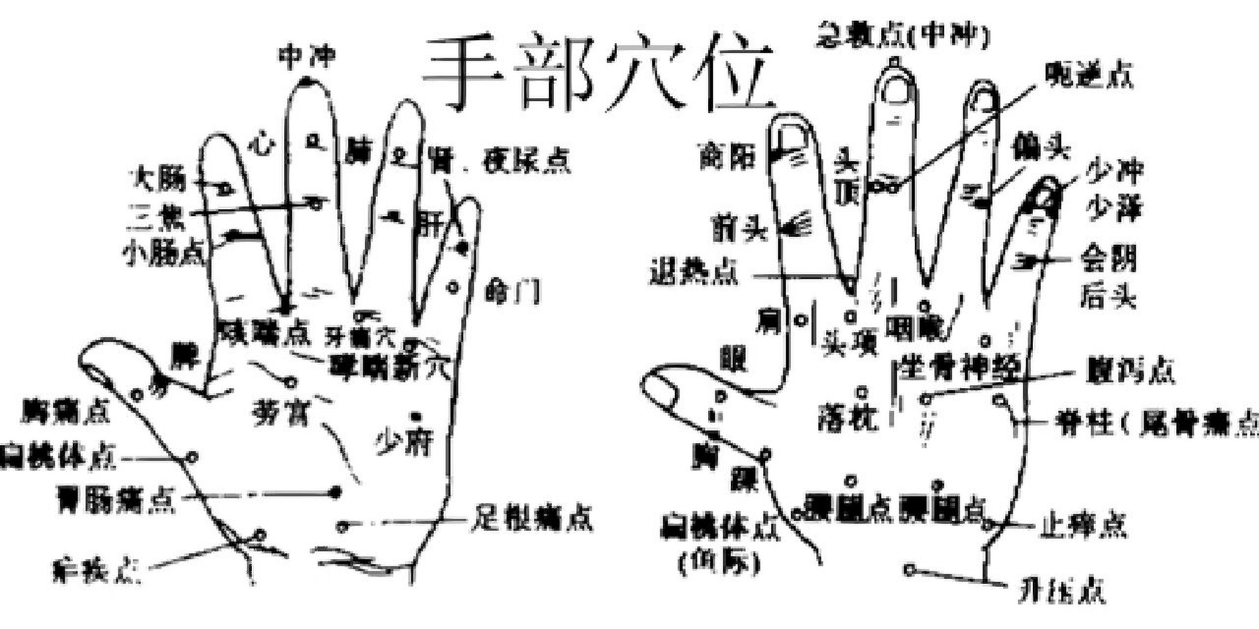 人体手部位名称图图片