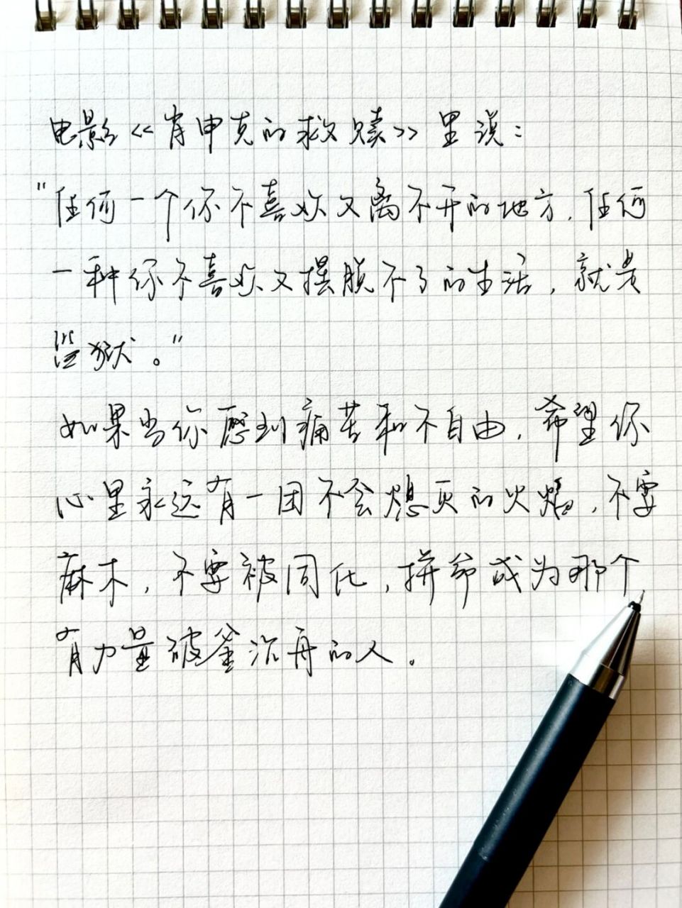 《肖申克的救赎》 里说:"任何一个你不喜欢又离