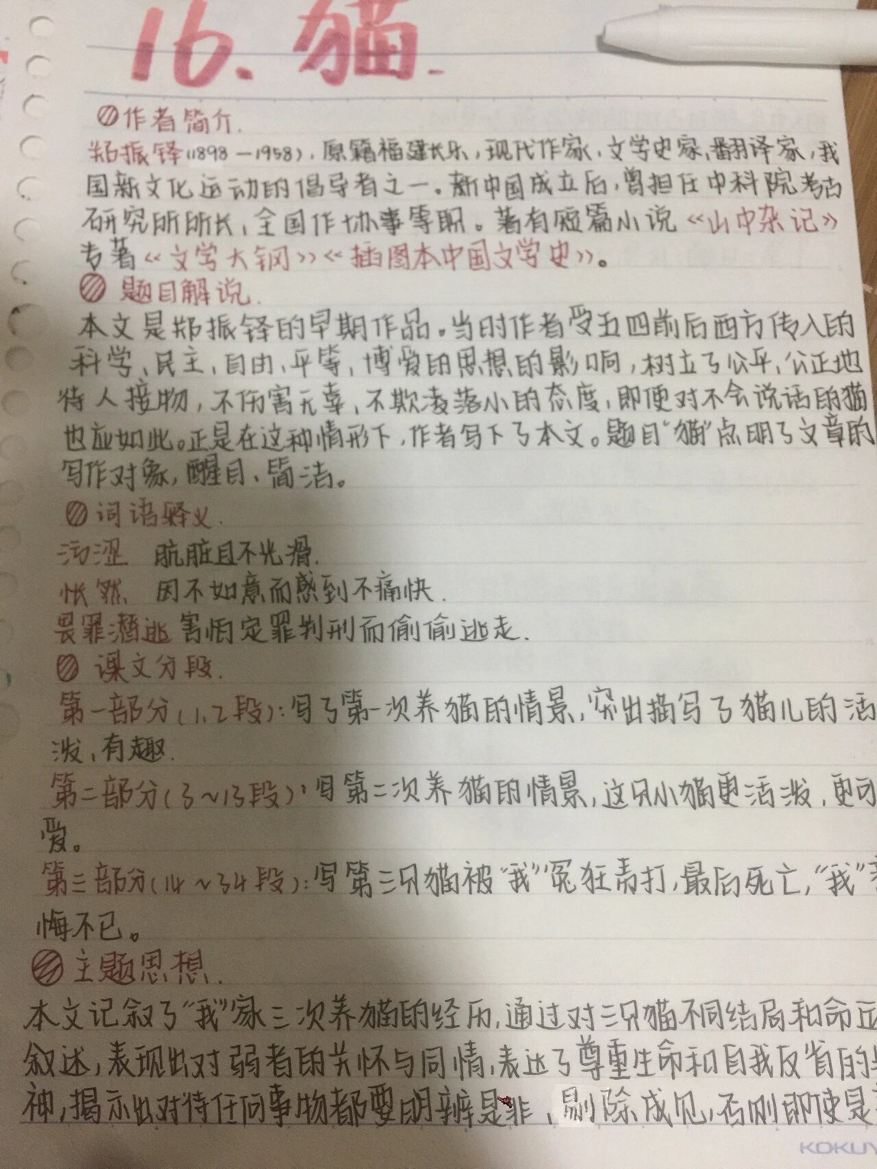 16课猫的笔记图片图片