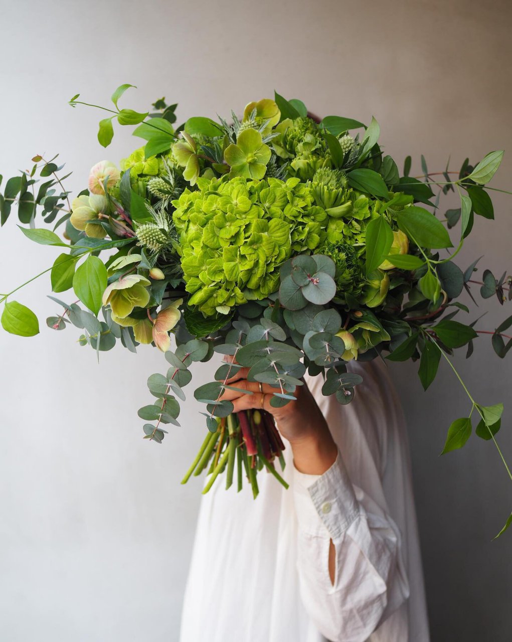 圆叶尤加利,绿色花束 植物不可或缺的色调.