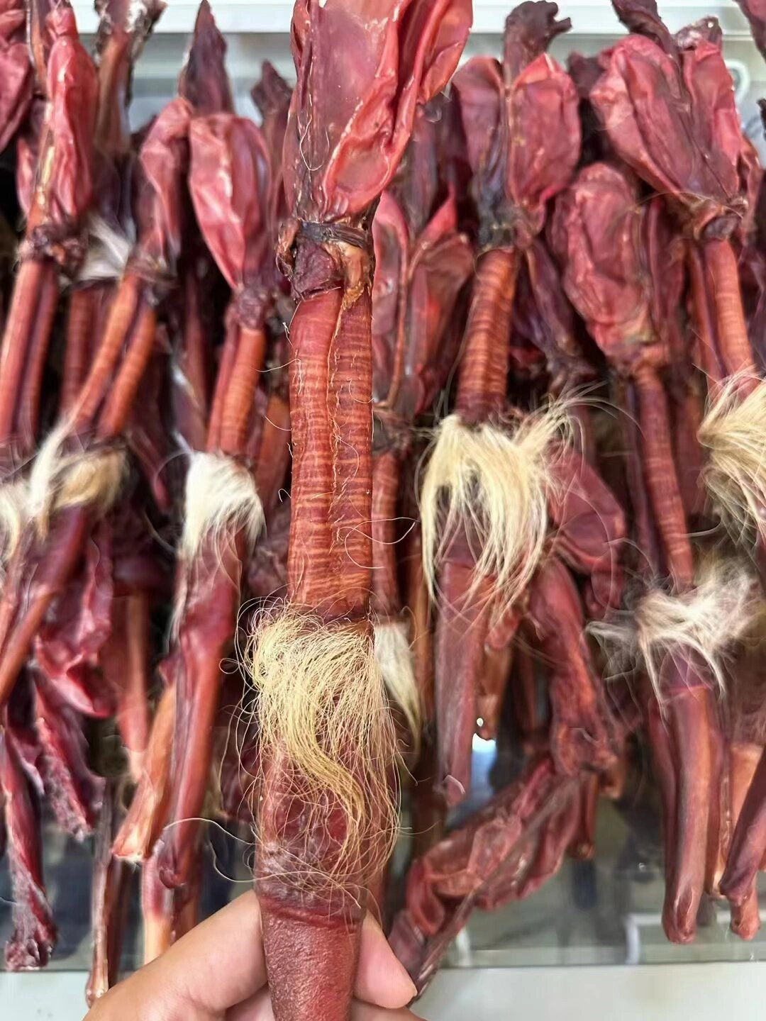 特价梅花鹿鞭,10条起780一条