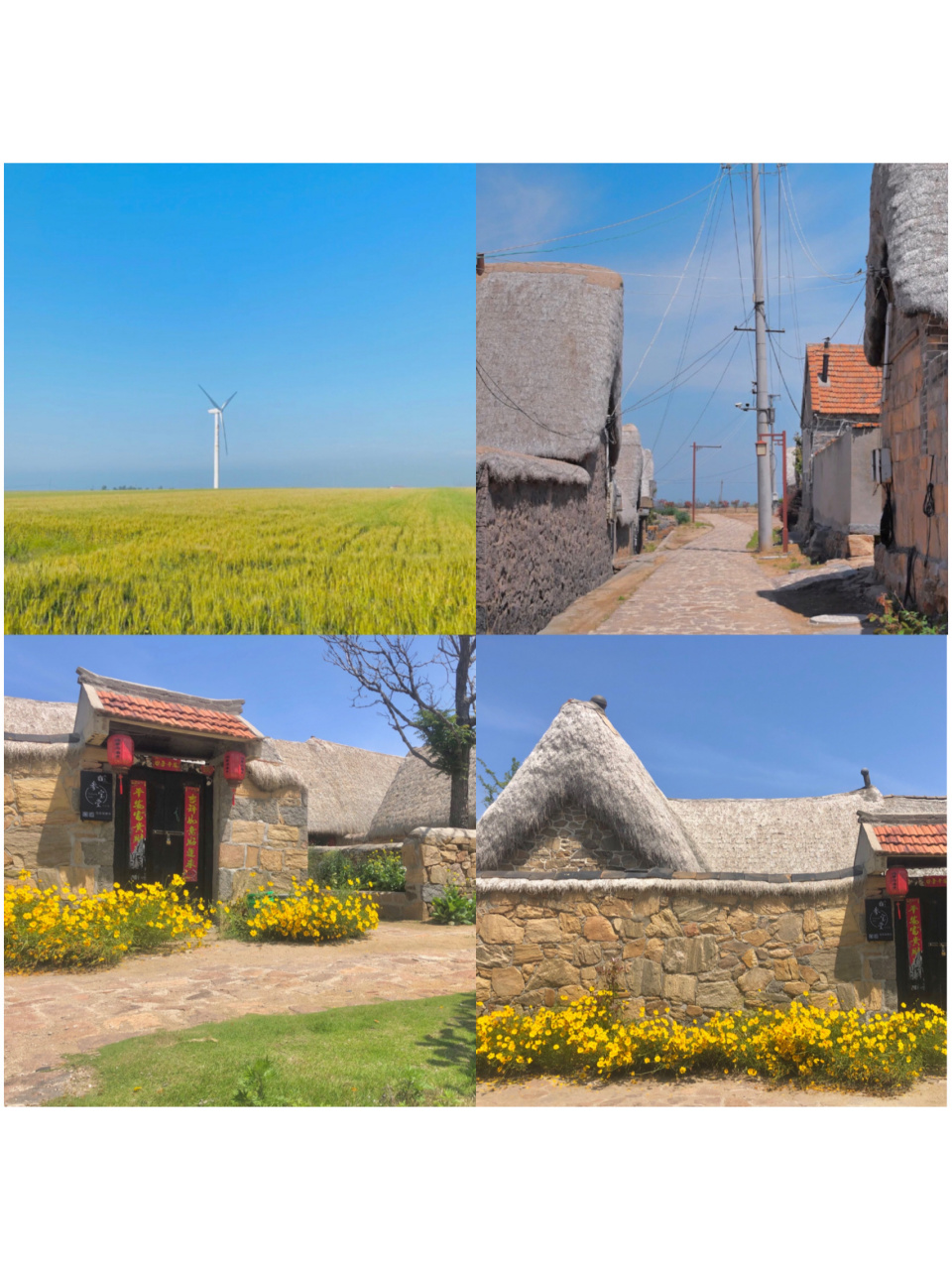 荣成东楮岛|看海发呆的好地方 98东楮岛61最有特色的就是海草房了