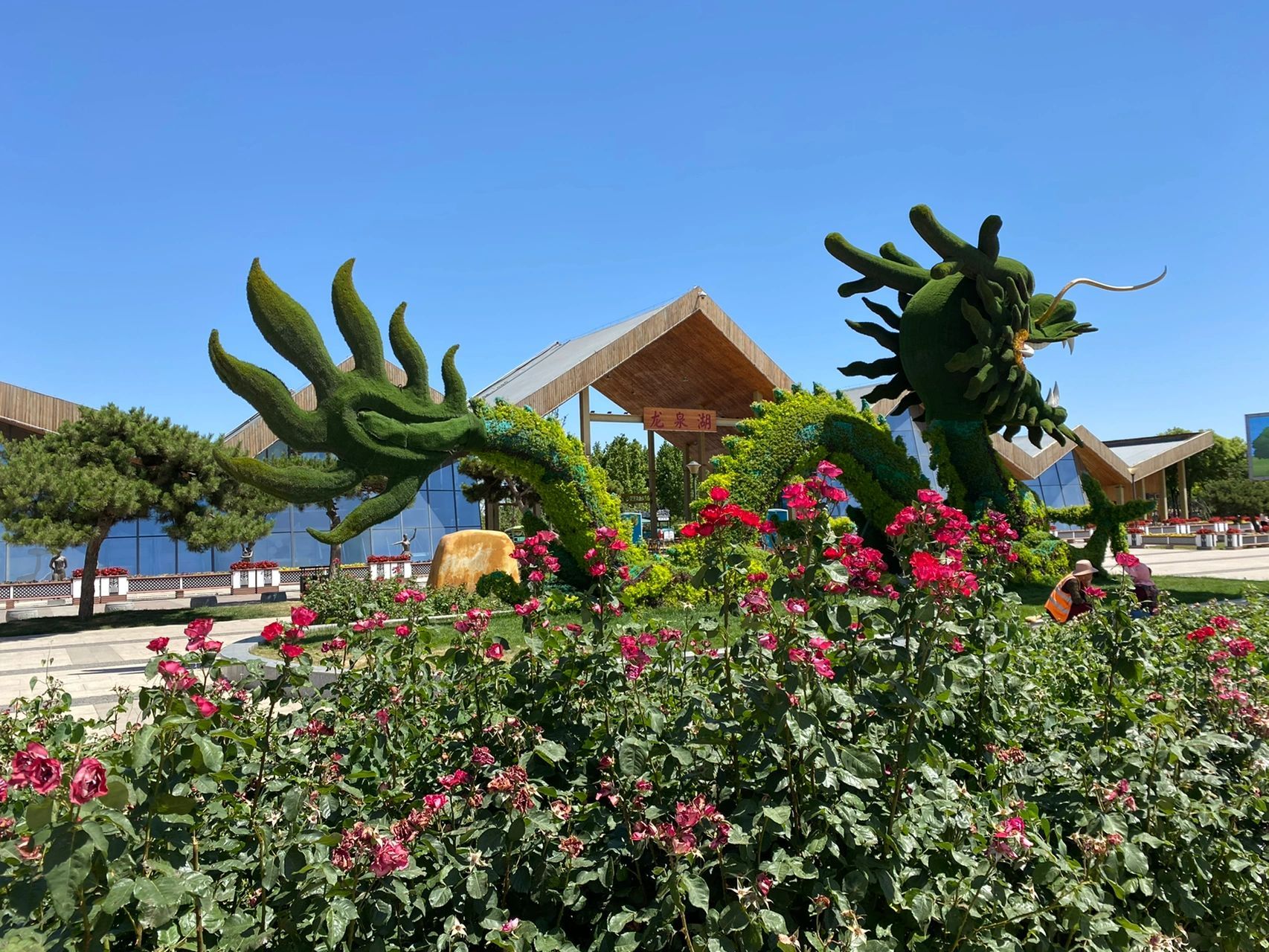 龙泉湖湿地公园    阳光明媚,天蓝水碧 暂且,放下手中繁芜,忘记俗世