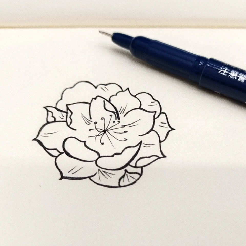 桃花简笔画|5分钟就能画完|零基础