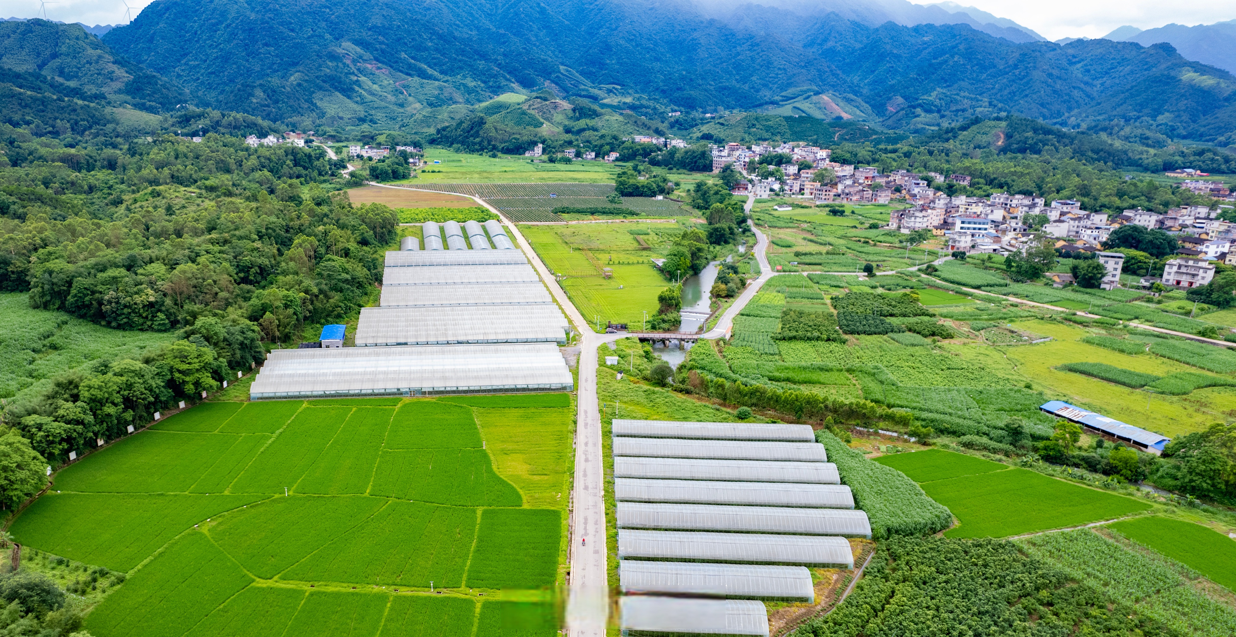 四好农村路# 在广西梧州市蒙山县文圩镇屯治村,一条条宽广笔直的公路
