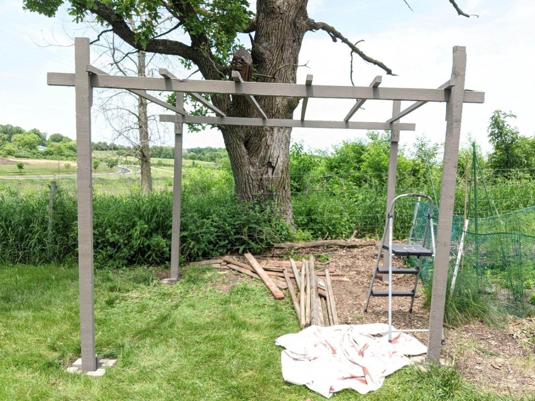 如何自己从零开始搭丝瓜架,超级简单便宜 自己在home depot买的木头搭