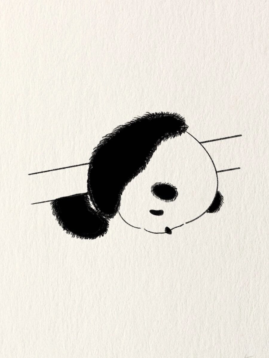 简笔画教程—睡觉的小熊猫