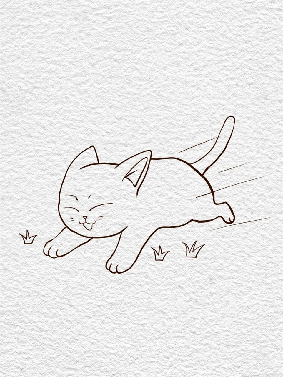 可爱的猫咪简笔画教程画画 