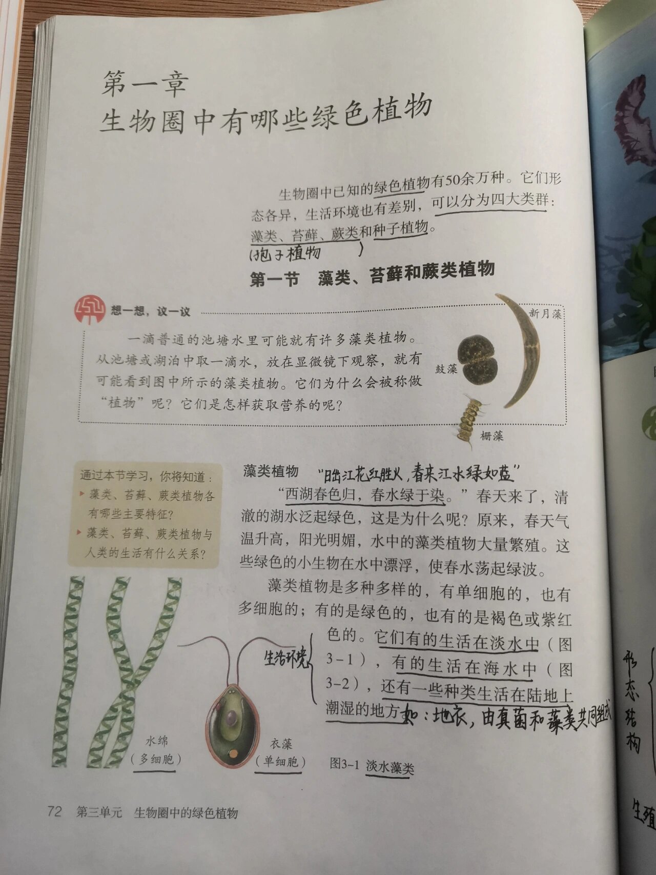 藻类植物 生物圈图片