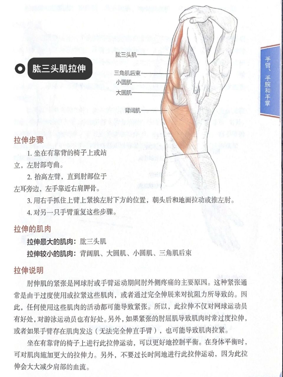 肱三头肌拉伸 缓解三头肌疼痛