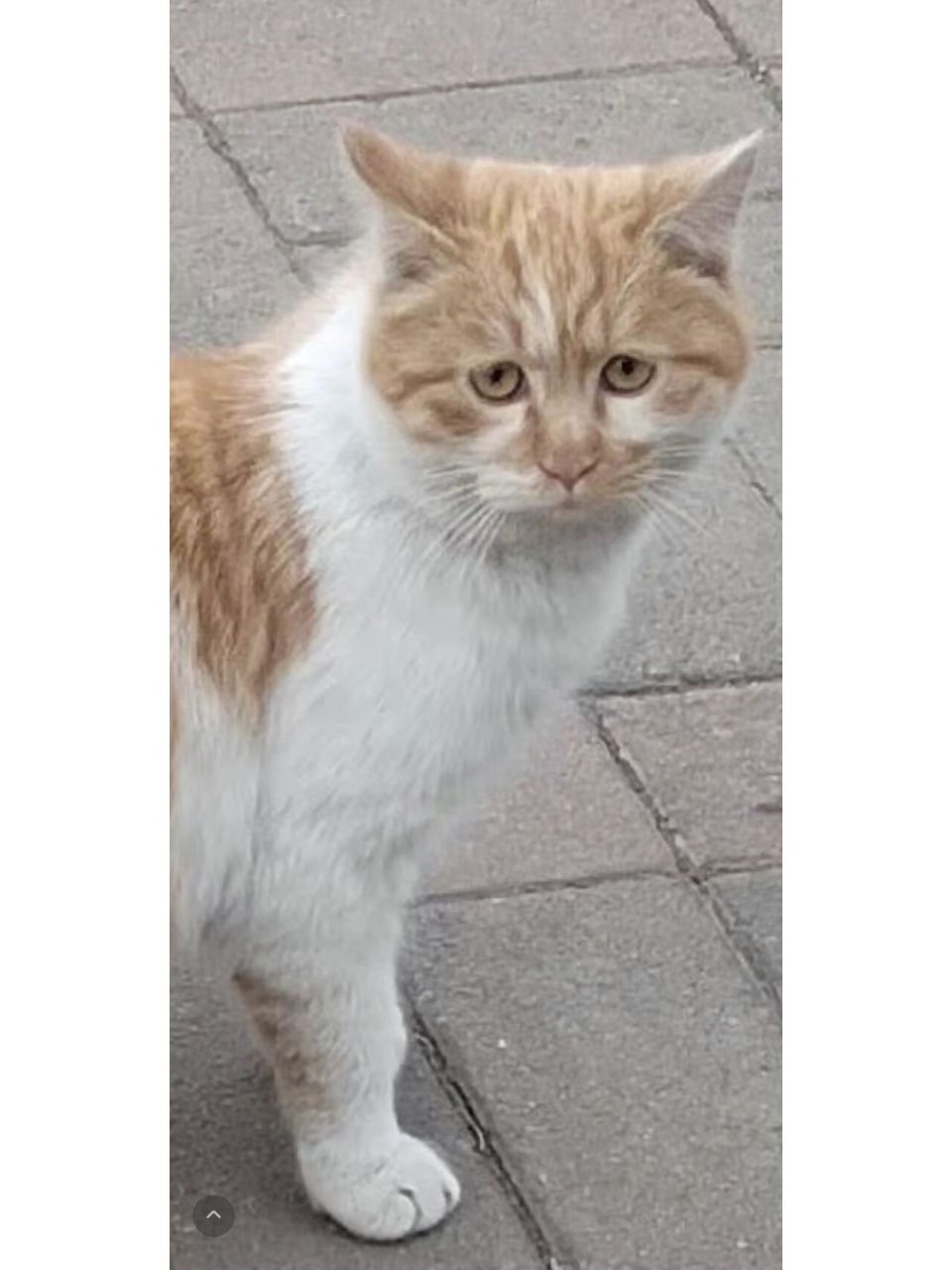 看面相第一感觉?毫不留情的那种![挤眼]#看面相