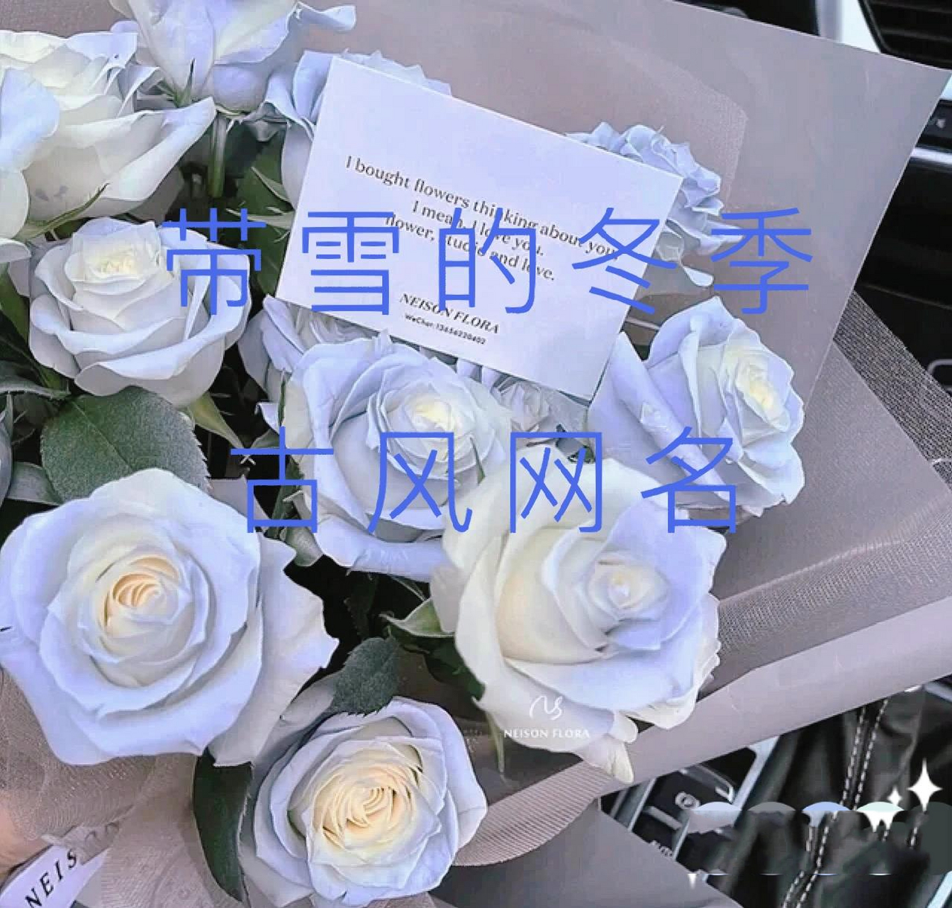 带雪的冬季古风网名