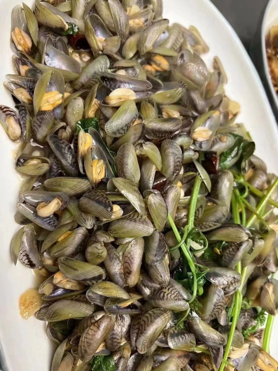 海瓜子潮汕话叫薄壳 【新出薄壳/海瓜子】676793 新薄壳/海瓜子