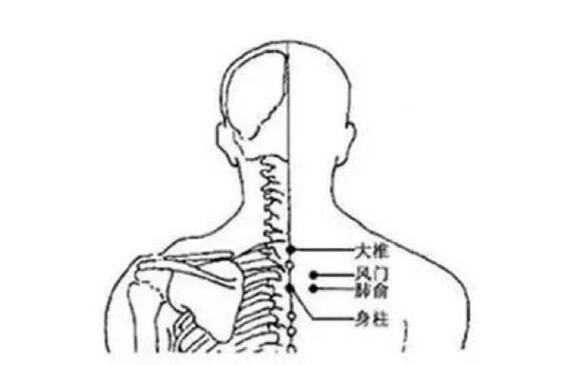 艾灸"身柱",增强抵抗力,助力孩子"长个儿" 身柱穴,顾名思义,有"全身
