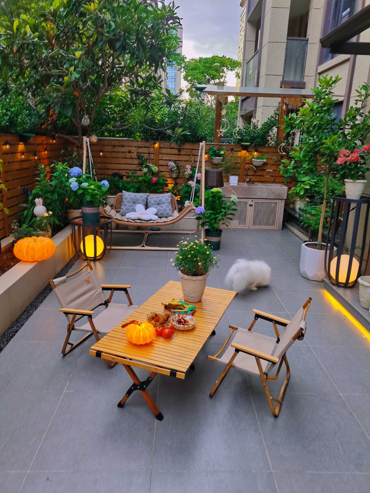 40平一楼小花园灯光布置分享