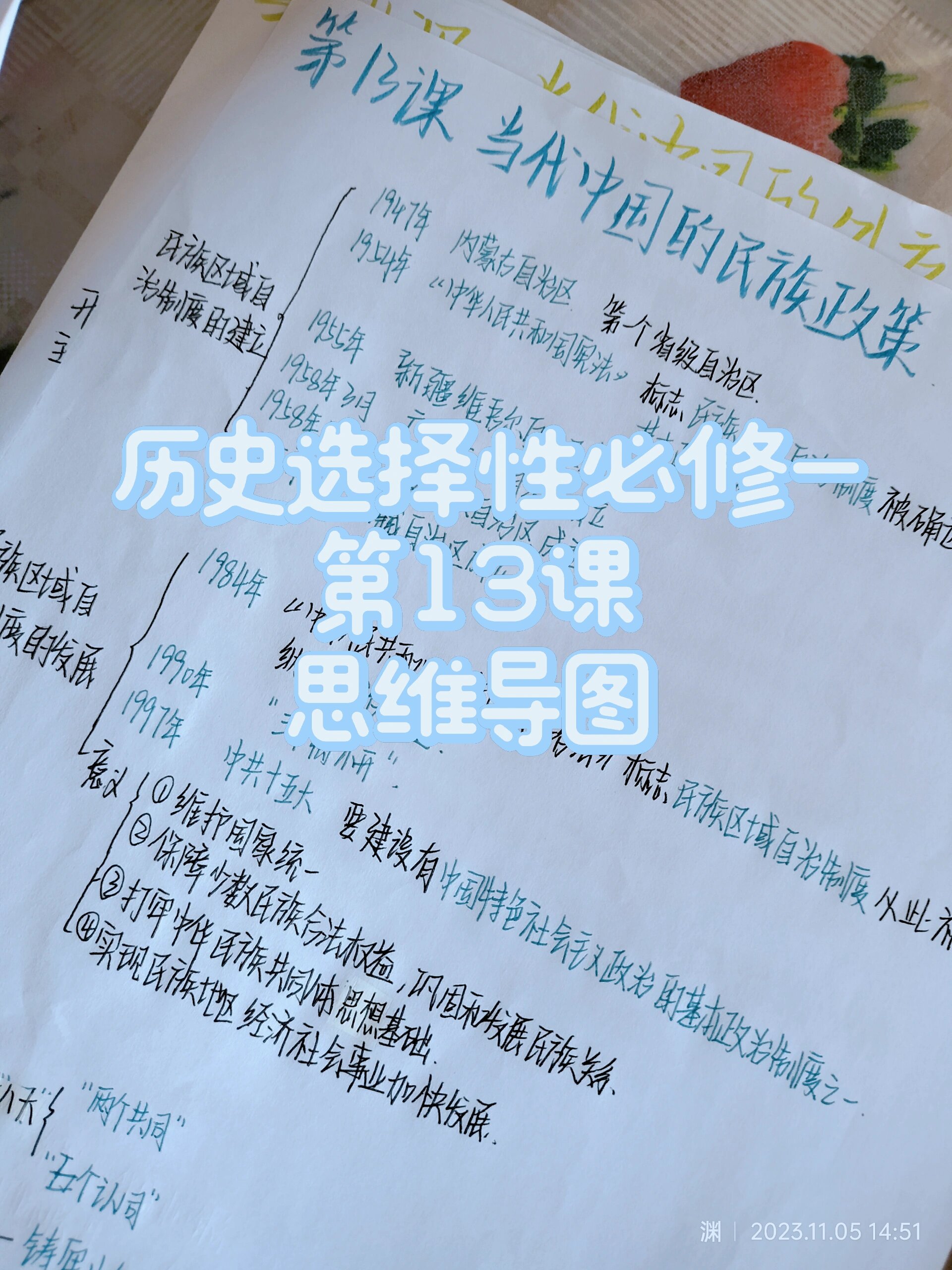 历史选择性必修一第13课思维导图