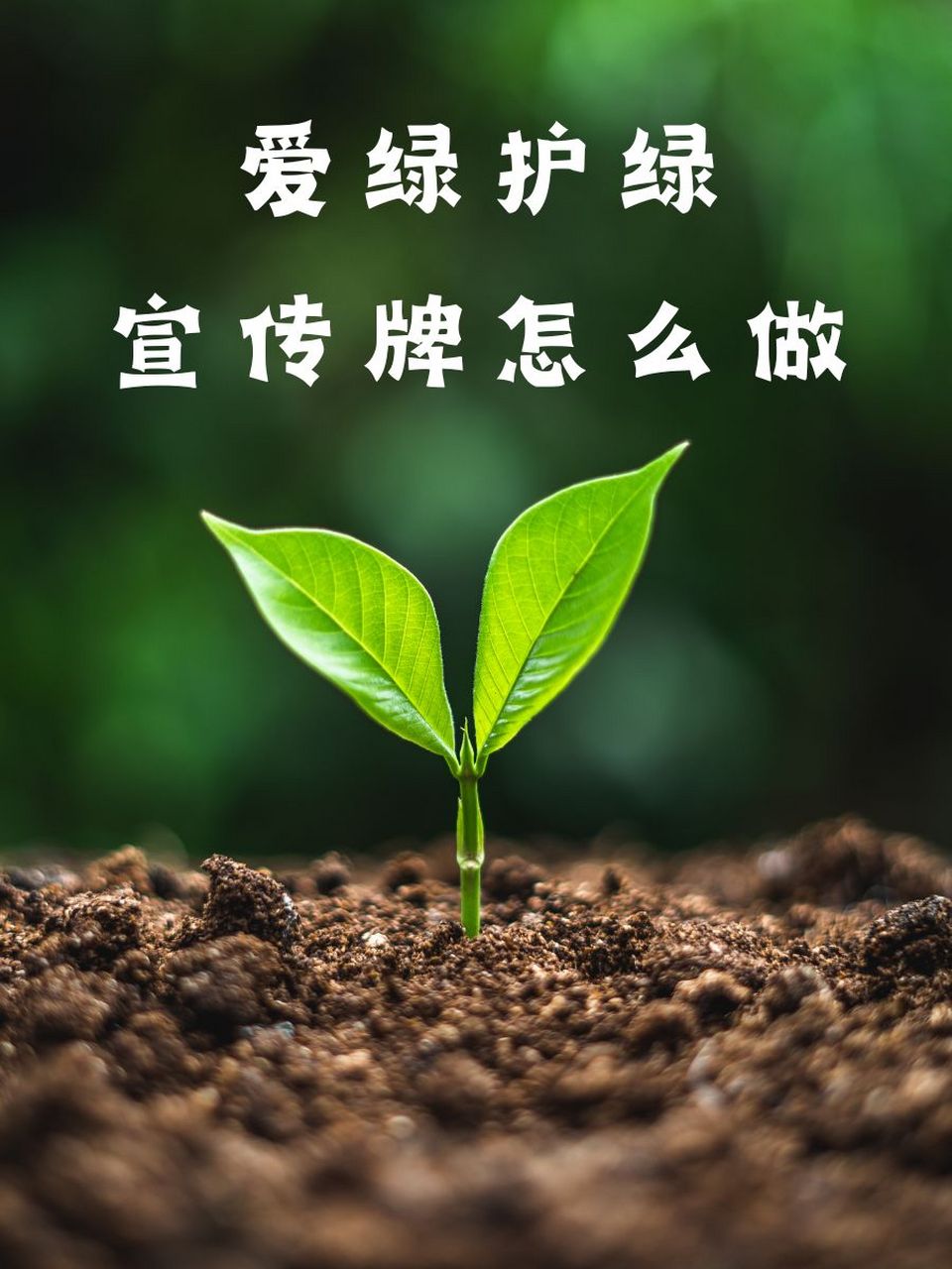 植绿护绿从我做起图片