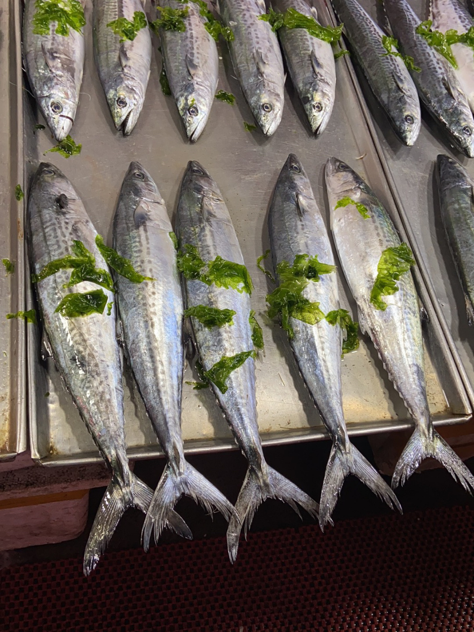 鲅鱼的营养价值: 96今天赶早市,买了几条大鲅鱼,红烧吃,味道棒极了